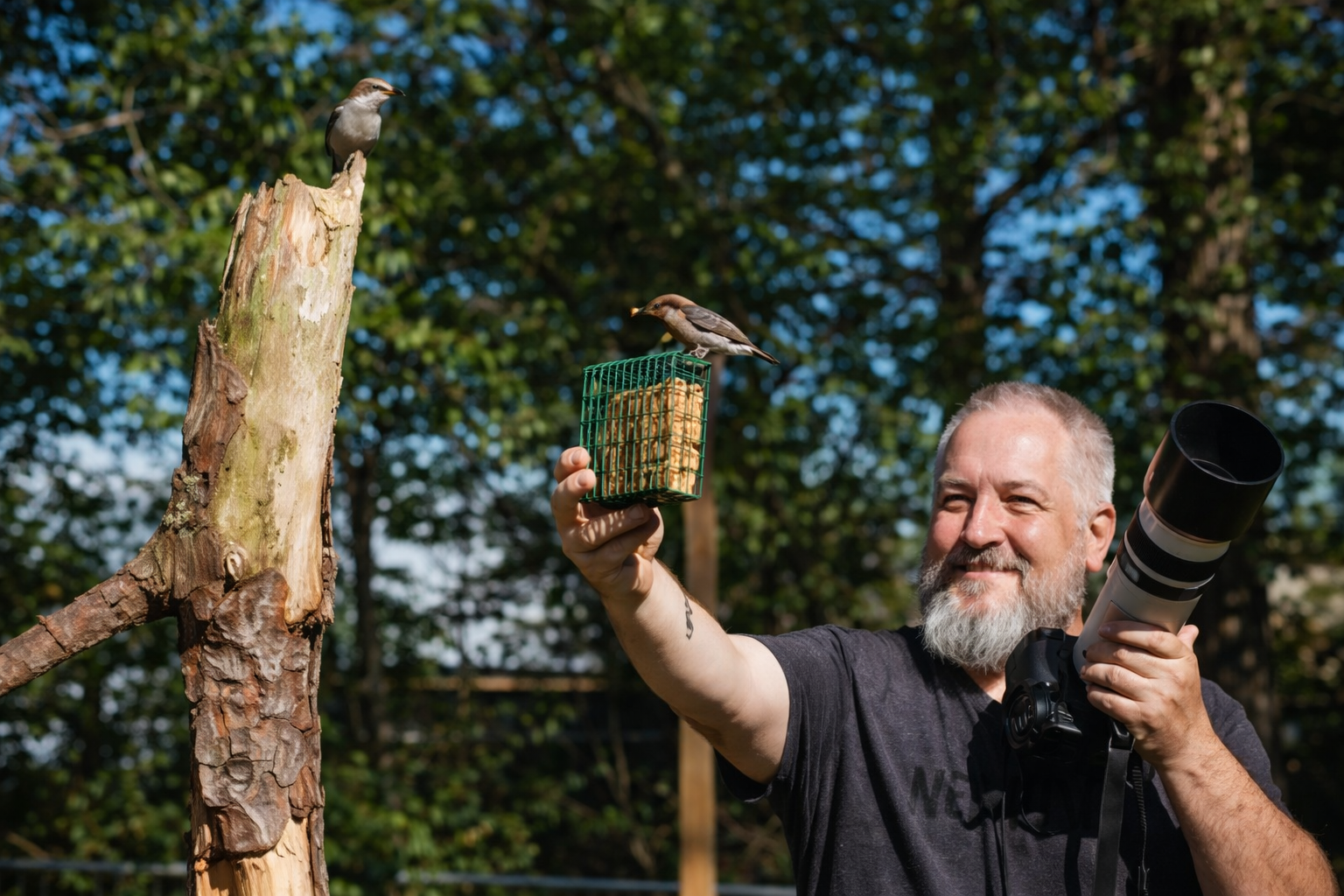 Tree and Birdwatching